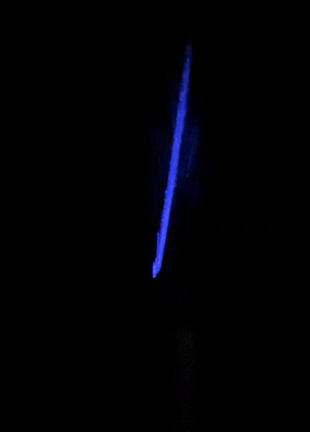 Aqua Viper